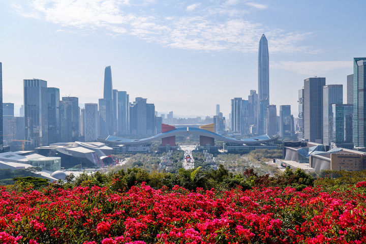 从深圳莲花山山顶俯瞰城市中轴线